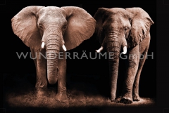 Leinwanddruck mit zwei Elefanten