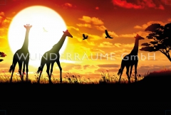 Leinwanddruck mit drei Giraffen in afrikanischer Landschaft