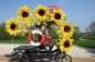 Walk-Act fr Parkinszenierung mit Sonnenblumenmobil